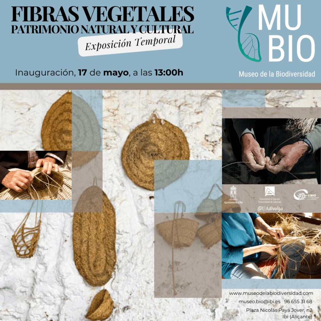 Fibras vegetales Museo de la biodiversidad