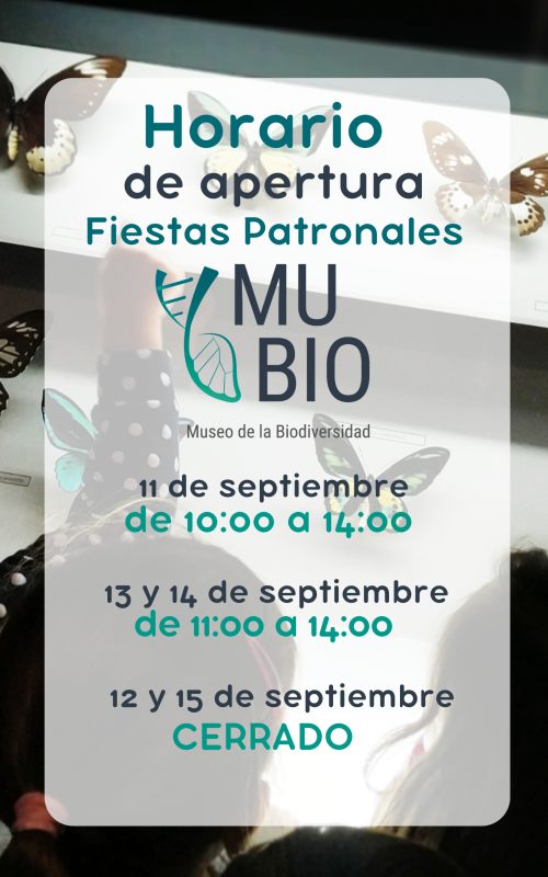 fiestas moros y cristianos jpg fiestas moros y cristianos jpg